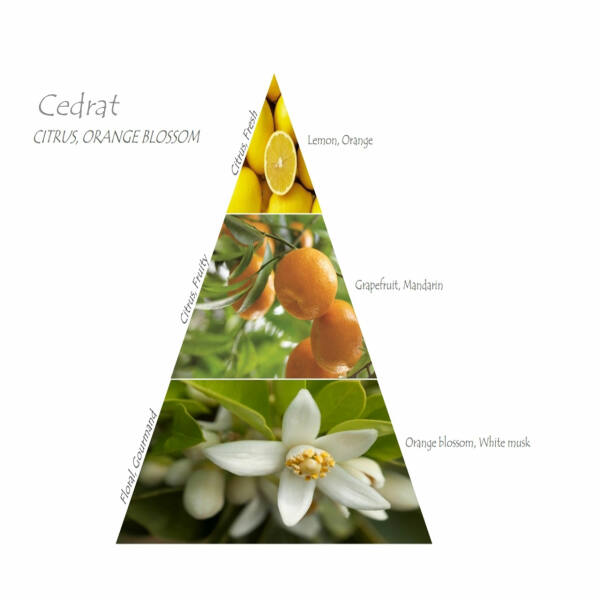 Cedrat PÖ