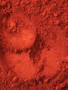 Pigment rot