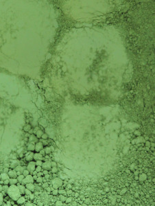 Pigment grün, 10g