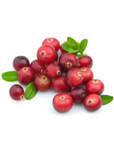 Cranberryöl, cold pressed kbA