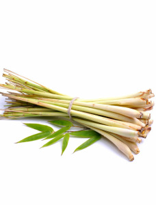 Lemongras kbA, 100% naturrein