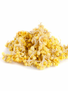 Immortelle Hydrolat, kbA