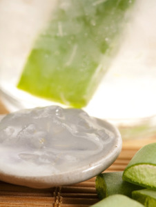 Aloe-Vera Pulver 200:1, kbA