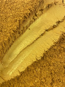 Sun Gold