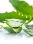 Aloe Vera Öl Mazerat, kbA